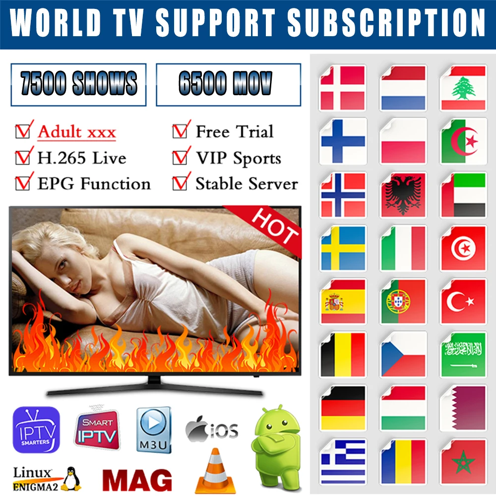 

World IPTV 7500 program 6500 MOV hot XXX iptv subscription spain nederlands belgium Support android tv box h96 max Free test