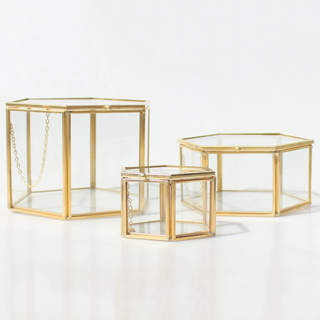 Modern Hexagon Clear Glass Brass Geometric Terrarium Fern Moss Air Plant Display Case Art Home Garden Decor