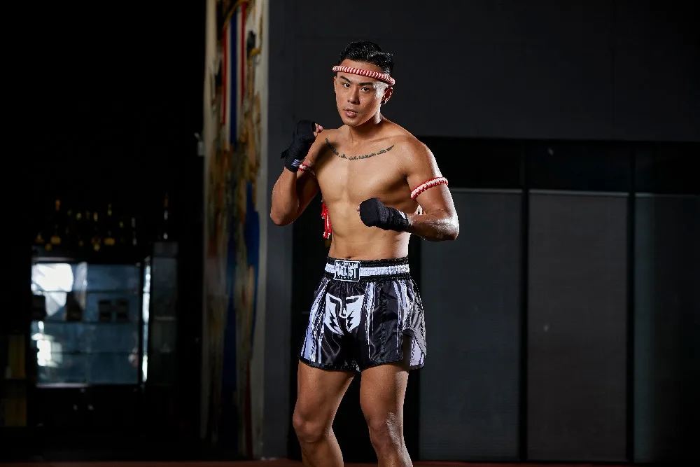 PUGILIST thai-black thai-pants шорты mma шорты для единоборств Бодибилдинг боевые искусства тренировочные боксеры