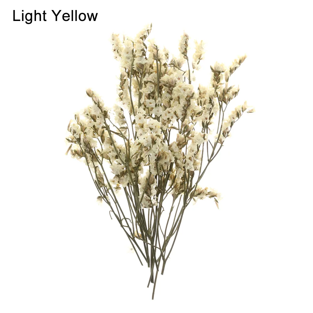 1 пакет настоящий прессованный высушенный цветок цветочные растения красочные хрустальные травы babysbreathing для DIY скрапбукинга карты для рукоделия Dec - Цвет: Светло-желтый