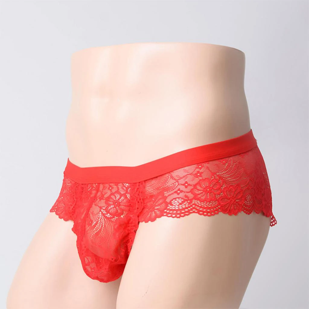 Men's Sheer Floral Lace Panties Low Rise Briefs Underwear Lingerie