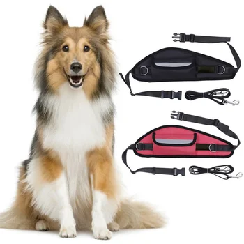 

Pet Running Waterproof Waist Bag Sport Running Traction Rope Outing Training Pet Leash for Dogs Pet Hiking Bag Accessories