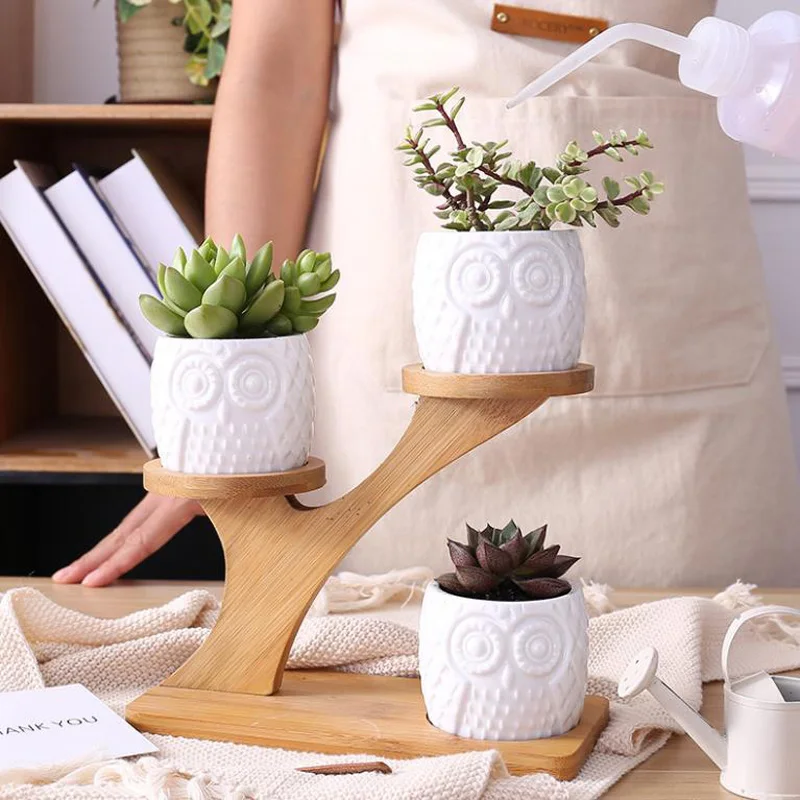 Simple White Succulent Plant Flower Pot Holder Ceramic Owl Pumpkin Pattern Pot Treetop Shaped Bamboo Shelf Pot Planter Set