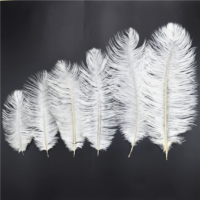 Wholesale 15-70cm Natural White Feathers Ostrich Plumes Diy Large Ostrich  Feathers Party Wedding Feathers For Crafts Decorations - Feather -  AliExpress