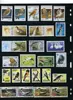 New 50Pcs/Lot Bird Parrot Eagle All Different From Many Countries NO Repeat Unused Postage Stamps for Collecting ► Photo 2/6