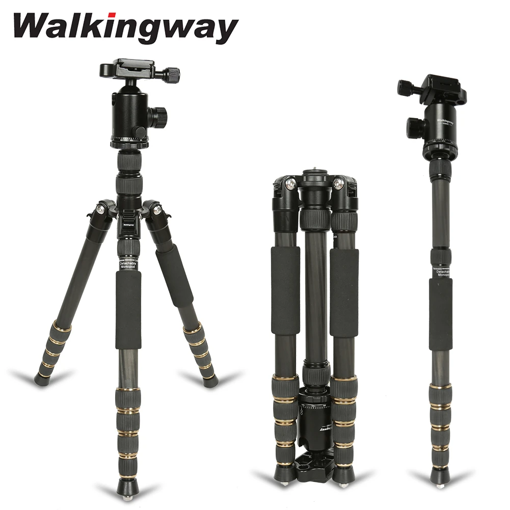 Schaduw belofte uitspraak W669C Carbon Fiber Camera Statief Monopod Professionele Lichtgewicht Reizen  Zware Stabiele Bal Hoofd Compact Stand Voor Dslr|Statieven| - AliExpress