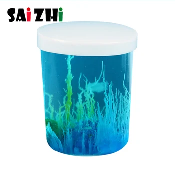 

Saizhi Diy Water garden Science Technology Small Production Chemistry Experiment Set DIY Kids Project Experiment Education Toys
