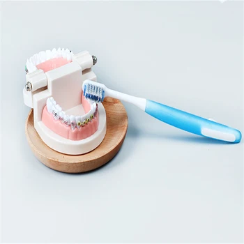 

1Pcs Orthodontic Toothbrush U-Shaped Bristles Oral Cleaning Adult Orthodontic Toothbrush Set Oral Cleaning Oral Care