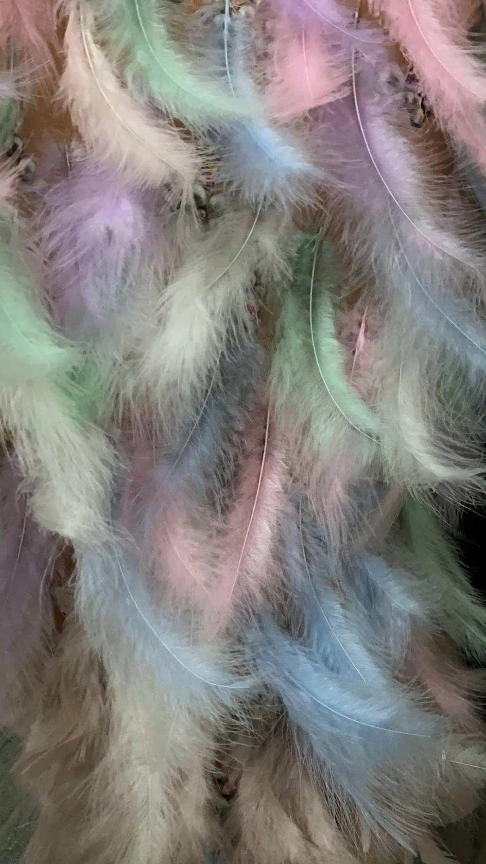 mmexport1589474868300