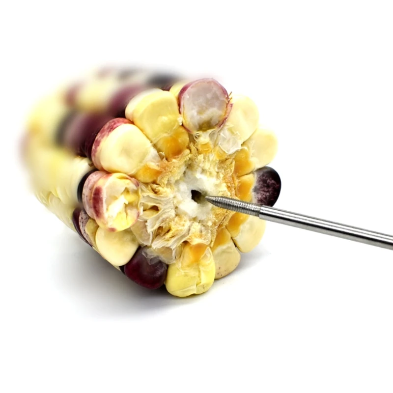Stainless Steel Meat Food Holder Stick Fruit Skewer Bird Treating Tool Parrot Toy Cage Accessories