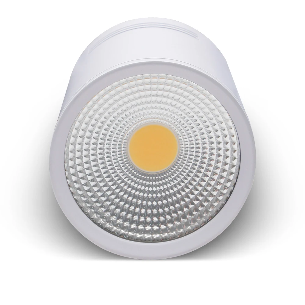 Surface mounted LED downlight 3W 5W 7W 10W 15W ceiling lamps spot light AC85-265V indoor ceiling down light decor lighting