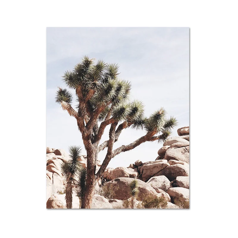 Joshua Trees California пейзаж холст живопись суккулент печать кактус ботанический Настенный декор настенные картины для гостиной - Цвет: L662-6