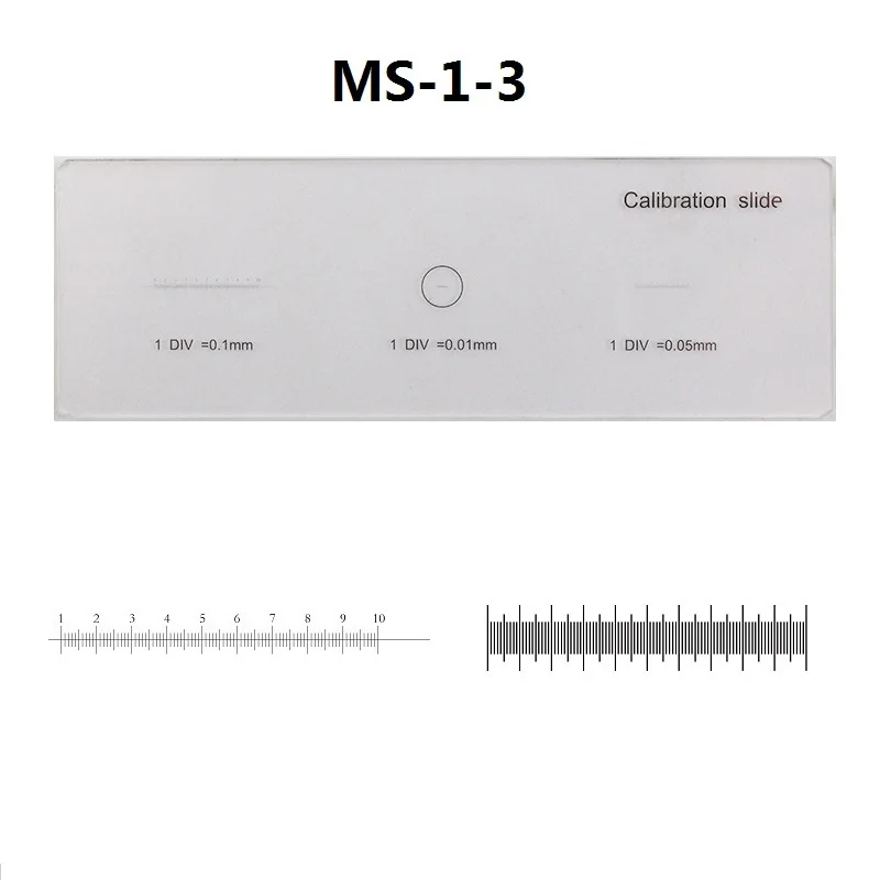 Microscope Glass Slides Calibration Reticle Ruler