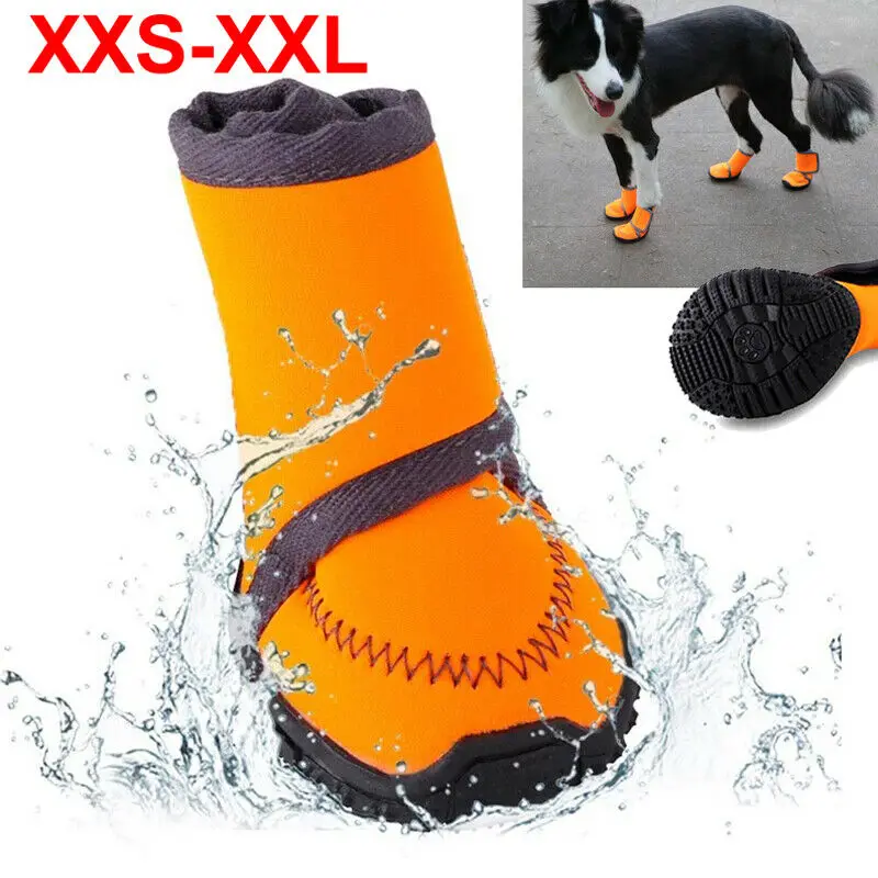 xxs dog shoes