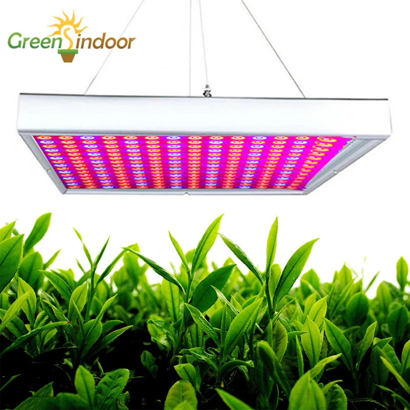 

Grow Tent LED Grow Lights Full Spectrum Greenhouse Phyto Lamp For Vegetables Flowers Phytolamp For Plants With EU US UK AU Plug