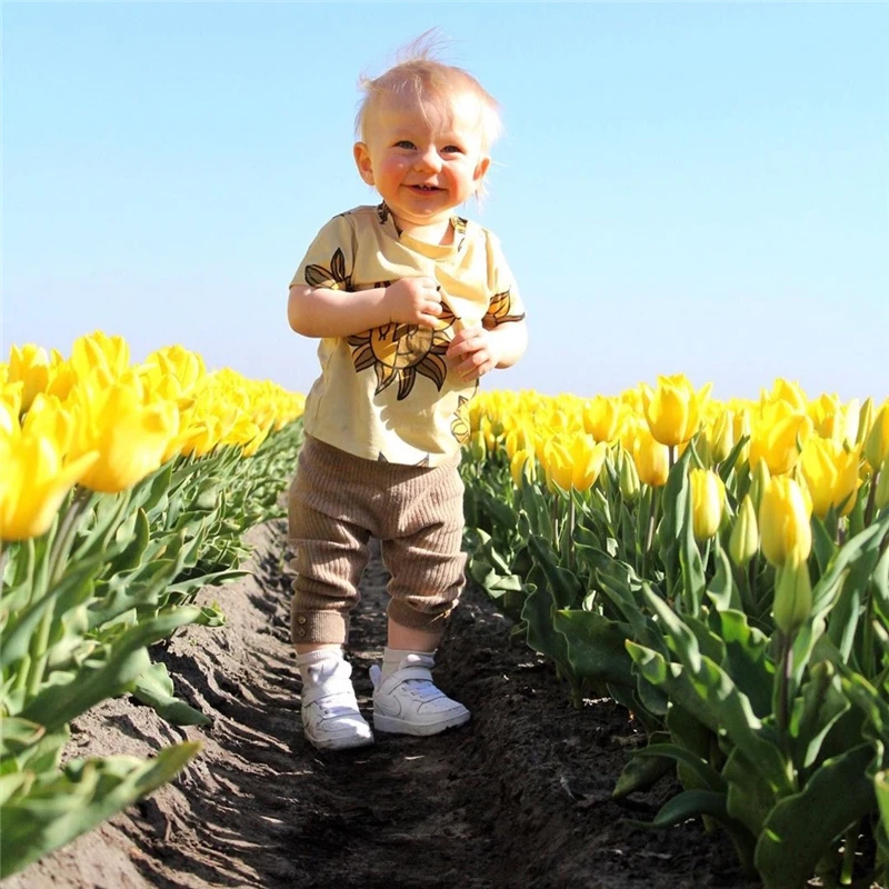 Hf6f0ec3646a34040b28383cc4df72532A