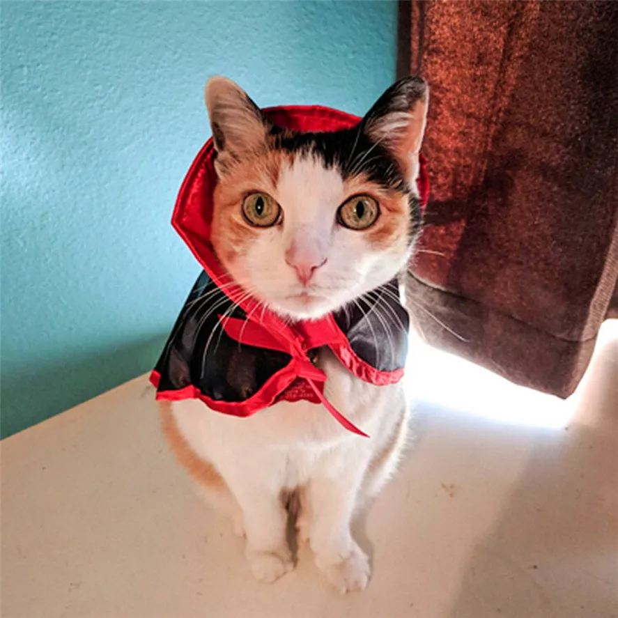 Животное собака древний Кот Хэллоуин плащ 1 шт. кошка костюмы для Хэллоуина для собак косплей ведьма плащ 0812#30