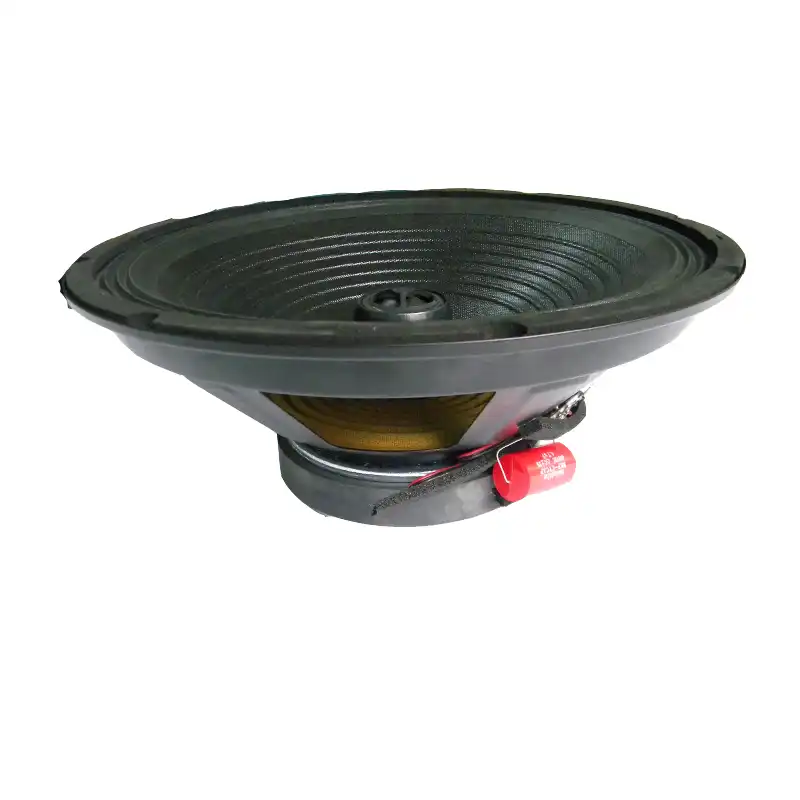 12 inch loudspeaker