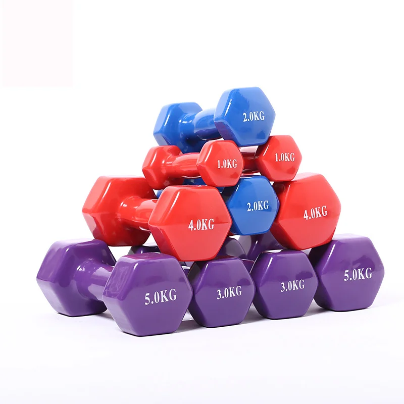 

500g/1kg/1.5kg/2kg Piece Dip Dumbbell Fitness Equipment Unisex Dumbbell Family Yoga Dumbbells Multi-Functional Fitness Dumbbells