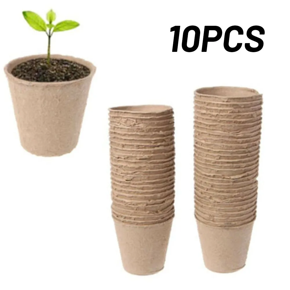 Geneeskunde consensus uitspraak 10/50/100Pcs Kwekerij Cup Plant Pot 6Cm Ronde Pulp Turf Biologisch  Afbreekbaar Fibre Praktische Recyclebaar Papier gegoten Bloempot|Hangende  manden| - AliExpress