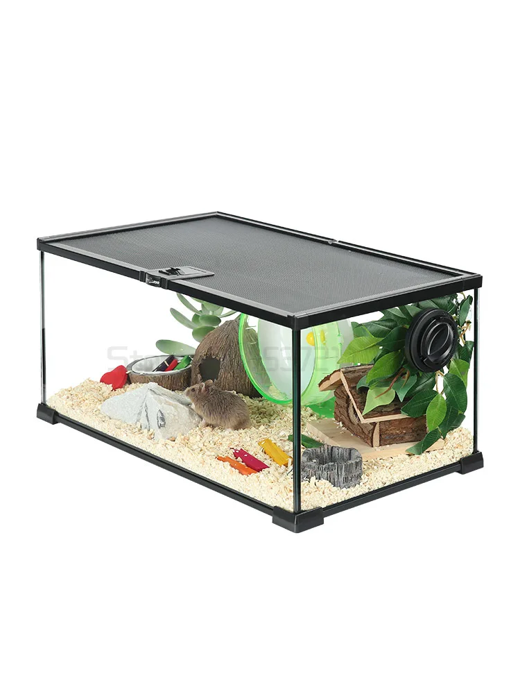 Hamster Glass Tank | lupon.gov.ph