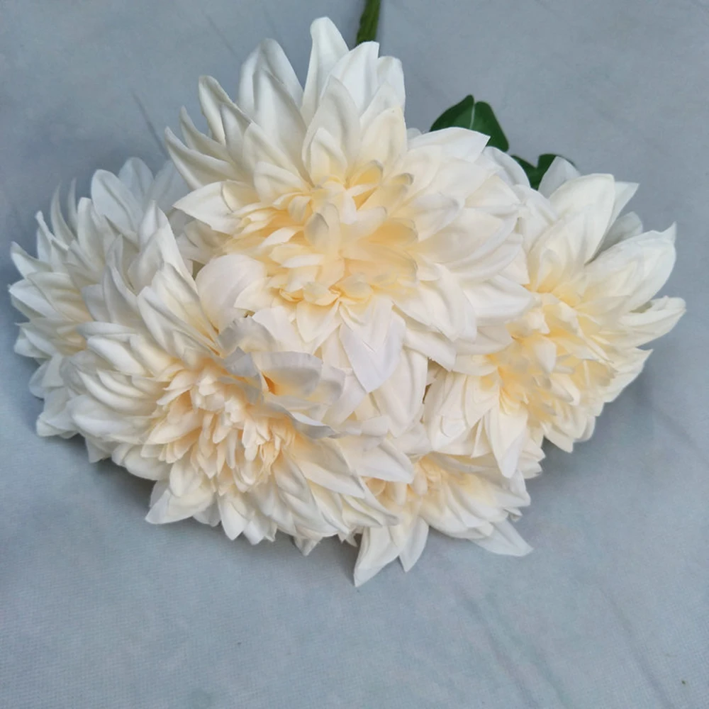 YYPA0057-YYPA0062-C5