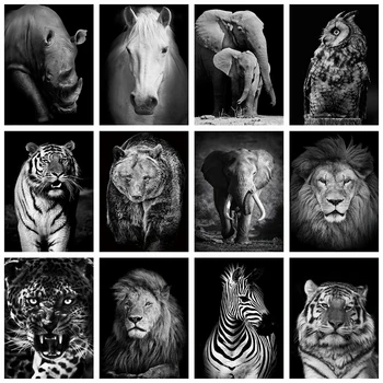 

Evershine Diamond Painting Black White 5D DIY Full Square Diamond Embroidery Animals Cross Stitch Mosaic Rhinestone Home Decor