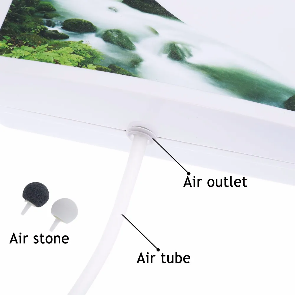 HTB1FbTAKXXXXXaLXpXXq6xXFXXXQ