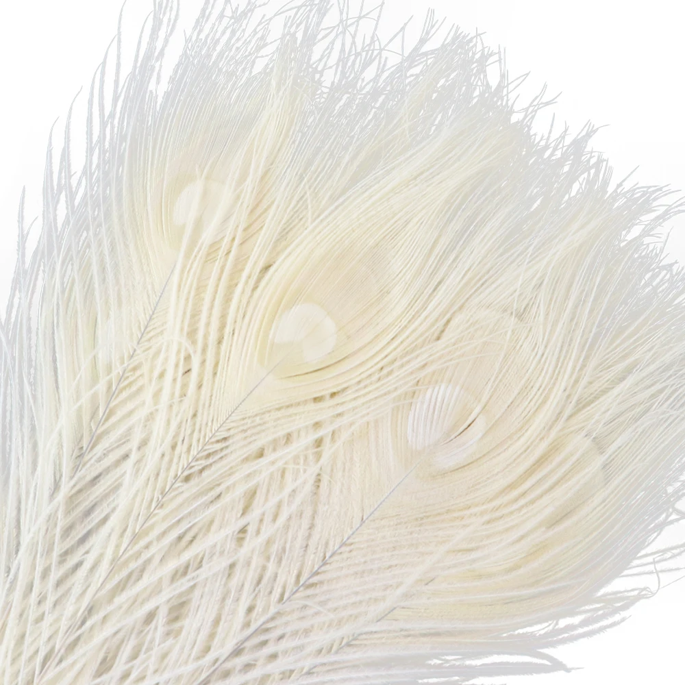 25-30cm 白色脱染孔雀毛 (3)