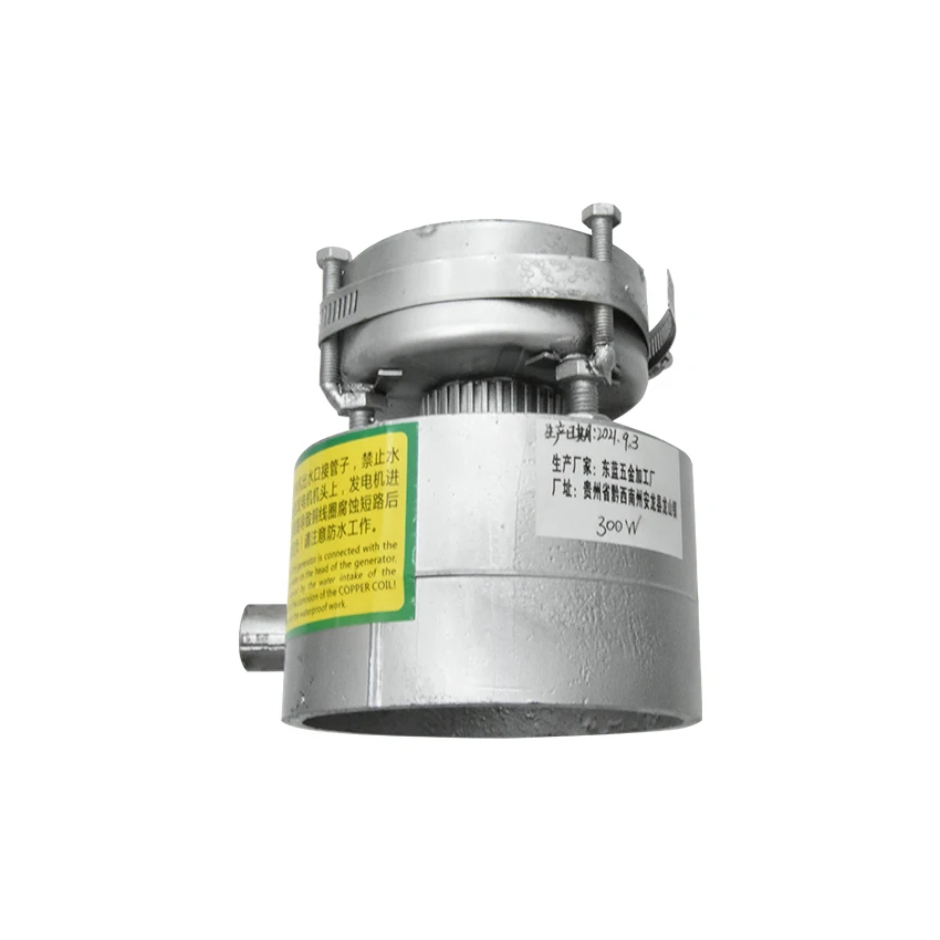 Gerador hidroelétrico pequeno de 20mm, 300w 220v,