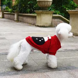 Одежда для собак зимние теплые куртки для собак милые аксессуары для домашних животных короткое пальто для зимы маленькие собаки зимняя