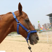 

Adjustable Nylon Webbing Equestrian Western Horse Halter Headstall 6mm