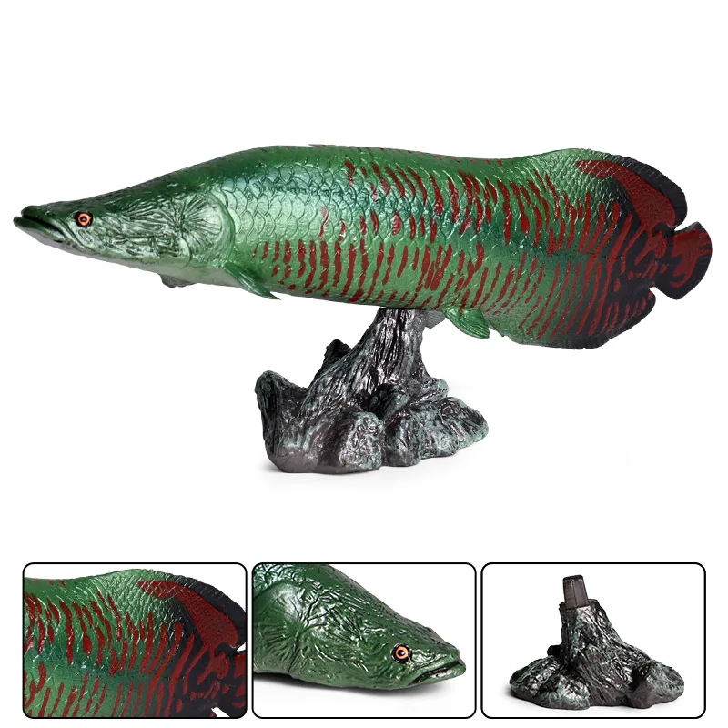 Oenux пресноводная Морская жизнь Животные Моделирование Coelacanth Пиранья бас рыба лосось фигурка модель реалистичные развивающие игрушки