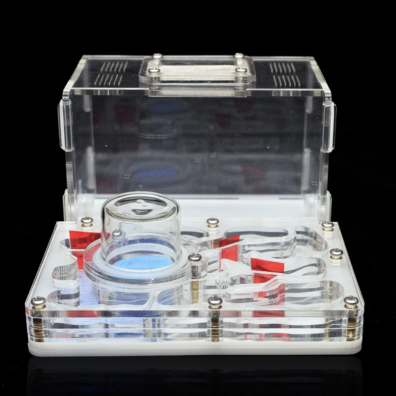 DIY Acryl Ant Farm Flat Ant Nest Ant House for Pet Anthill Glass Moisturizing Water Tower Workshop Feeding Area 12*15*7.5cm