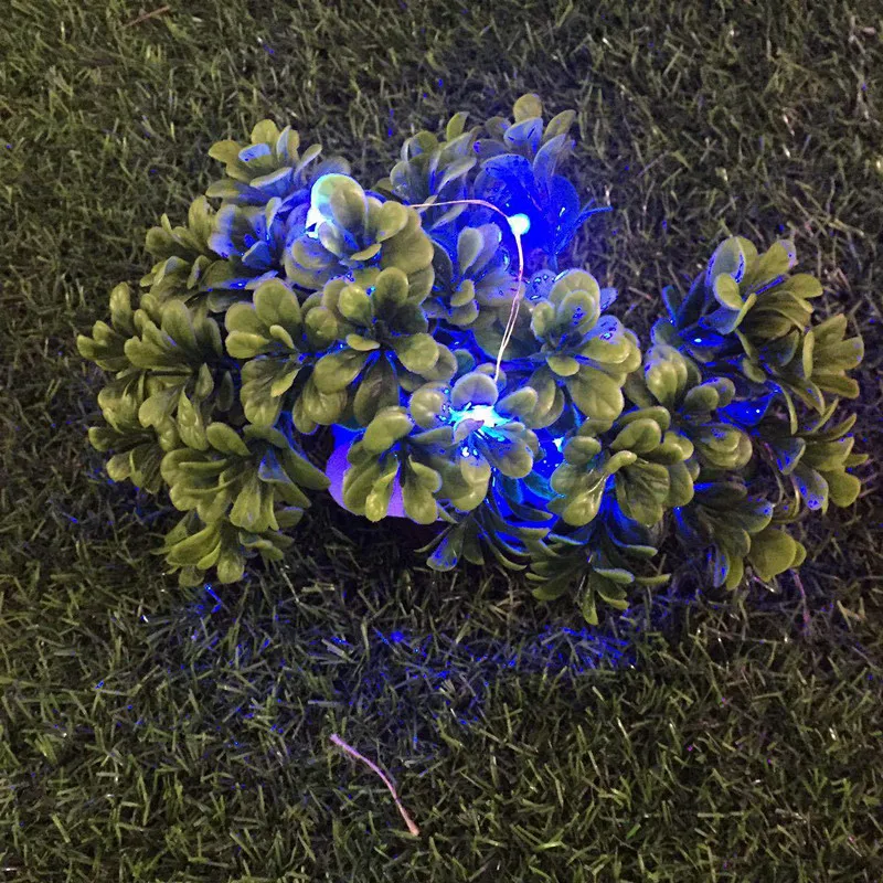 4444396665_1100864702_