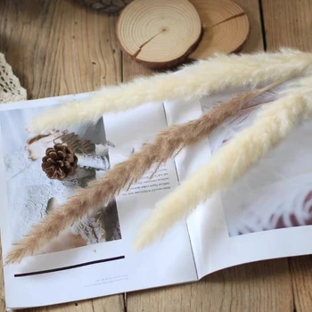 

30pcs Pampas Grass Wedding Home Decor White Pink Decorative Dried Natural Flowers Bulrush Bunch Natural Faux Flowers Party Diy