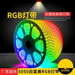 RGB светодиодные полосы Гибкие Огни SMD5050 60 светодиодный водонепроницаемый AC220V 230V неоновый свет дистанционное управление вечерние гостиная