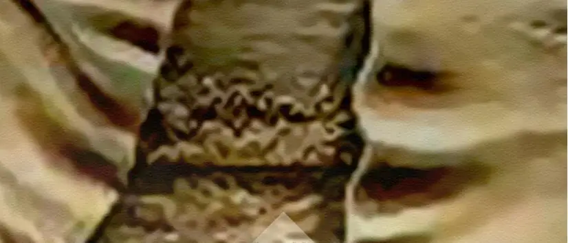 QQ截图20200627161005