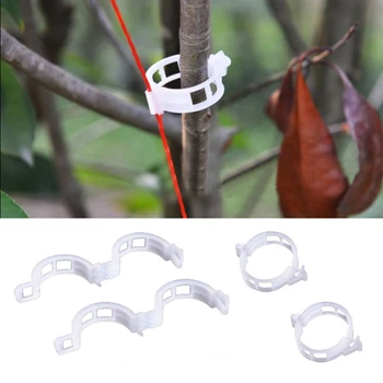 

50pcs/100pcs Durable 30mm Plastic Plant Support Clips For Types Plants Hanging Vine Garden Greenhouse Vegetables Garden Ornament