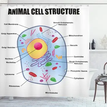 

Educational Shower Curtain, Microbiology Theme Animal Cell Structure Genetic Research School Study Science, Cloth Fabric