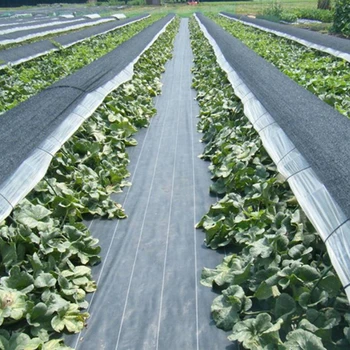 

1.2*3m Black Weed Mat Vegetable Garden Weeding Cloth Weed Control Anti Grass Cloth Greenhouse Weed Control Mat Plastic Mulch