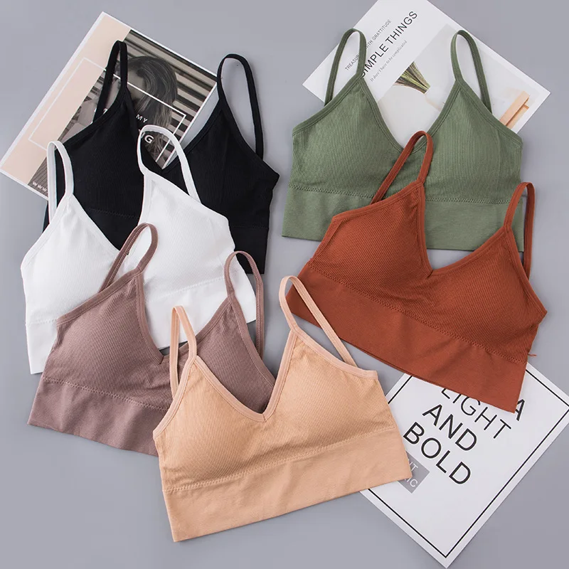 Bras N Things - Be bold in the Electrify sports bra