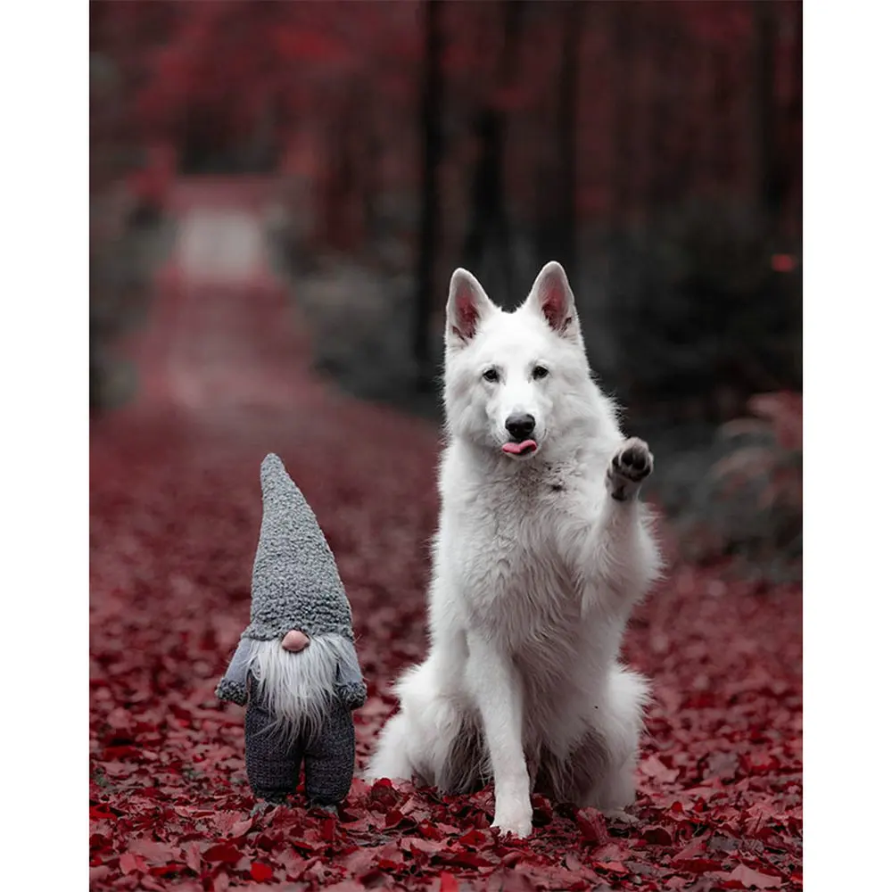 Diy Elmas Boyama Beyaz Kopek Ve Bez Bebek Resim Tam Kare Yuvarlak