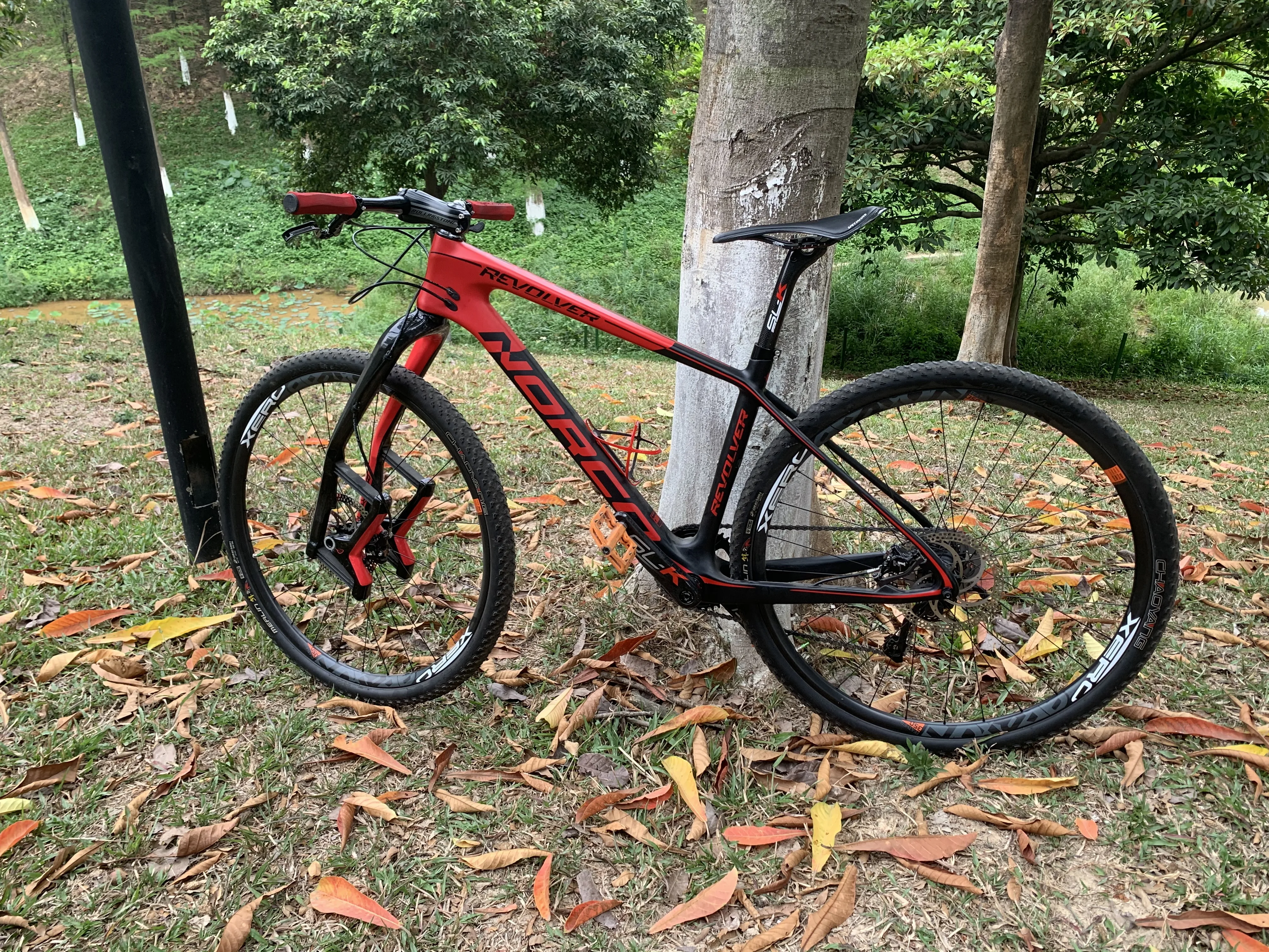 29 mtb