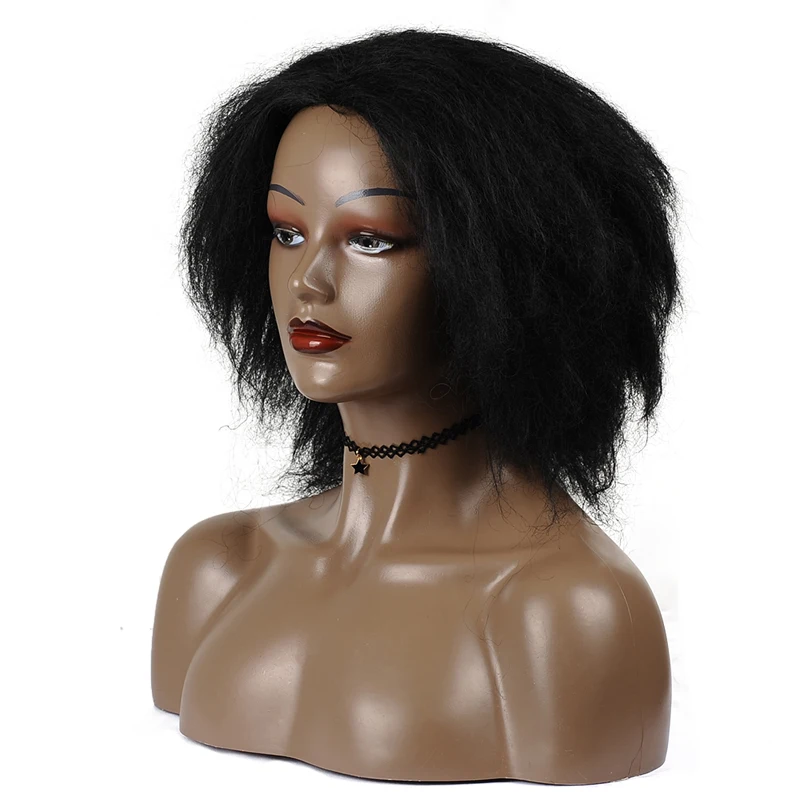 kinky straight wig in synthetic afro wig natural balck Short Kinky Curly Fluffy Wig for balck women African American MSGLAMOR