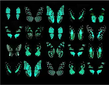 

Nayachic 50PCS 3D Butterfly Noctilucent Decal Art Magnetic Wall Stickers Room Home Decor Free Shipping Wholesales