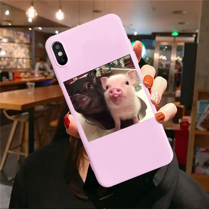Забавный чехол для телефона с рисунком поросенка для iphone 11 Pro XS MaxX XR чехол для iphone 6 S 5 5S 7 8 plus Мягкий чехол милые Чехлы для пар - Цвет: Pink TPU F3187