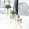 Nordic Ceramic Iron Art Vase Marble Pattern Rose Gold Silver Tabletop Green Plant Pot Home Office Vases Decorative ► Photo 2/6