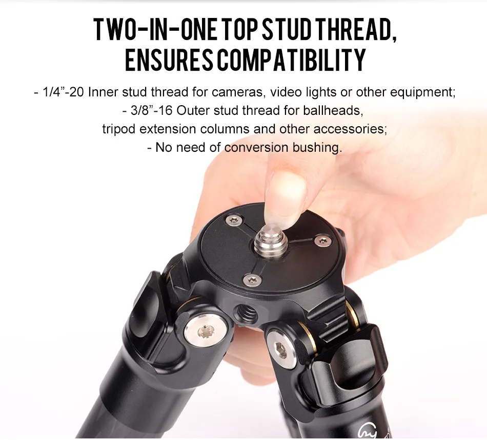 T1C30N速卖通-20190828_14