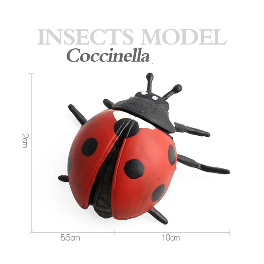 Моделирование ПВХ насекомое Жук фигурка животного модель обучающая детская игрушка для ролевых игр раннего образования Когнитивная игра пластик